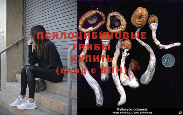 ALPHA-PVP Богородицк